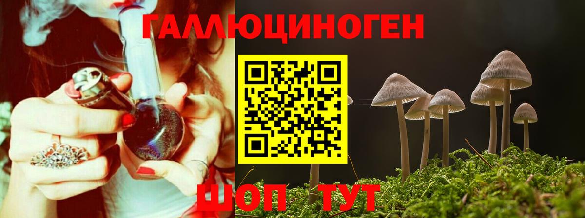 Кулебаки  Галлюциногенные грибы мицелий  Вход с VPN  Псилоцибиновые грибы мухоморы 